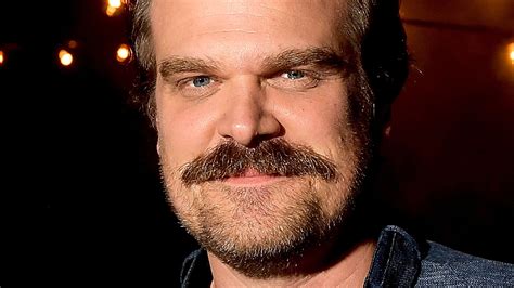 What You Never Knew About Stranger Things' David Harbour