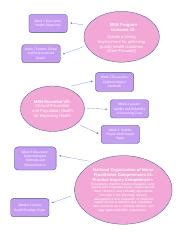 Concept Map Docx Week 1 Discussion Health Disparities Week 7 Lesson