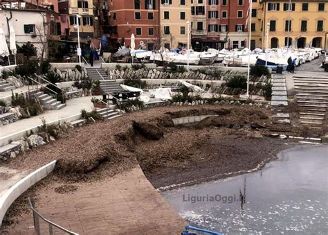 Genova Il Nuovo Porticciolo Di Nervi Sepolto Dalle Alghe Liguria Oggi