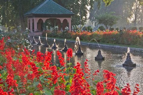 7 jardins les plus beaux et les plus célèbres d Inde pour les amoureux