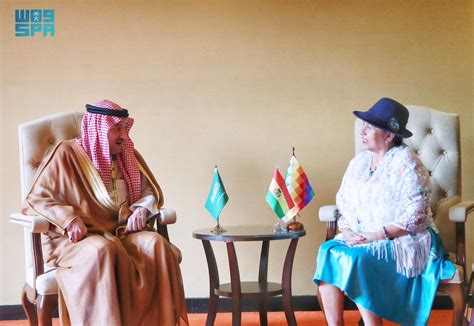 Saudi Vice Foreign Minister Meets With Minister Of Foreign Affairs Of