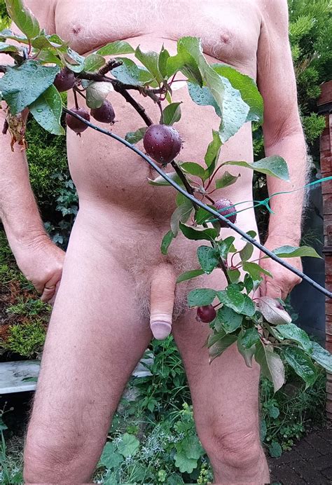 The Naked Gardener On Twitter Apples Are Coming Along Nicely I Ll