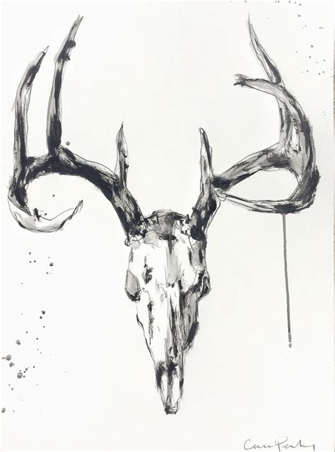 Whitetail Deer Sketch at PaintingValley.com | Explore collection of ...