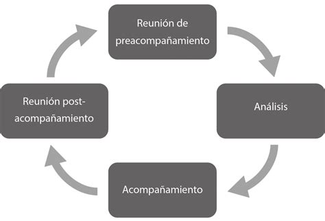 Proceso de Acompañamiento Pedagógico en la UCSC Download Scientific