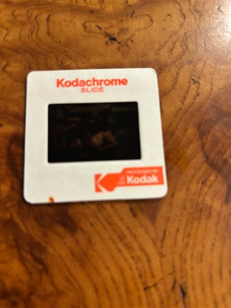 PLAYBOY PHOTO SHOOT Nude Girls Of SEC BIG 12 ACC 35MM Slide 4709 EBay