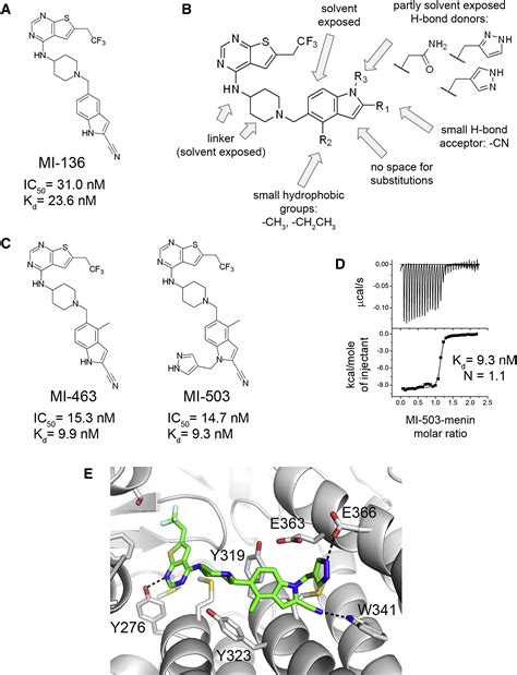 Pharmacologic Inhibition Of The Menin Mll Interaction Blocks