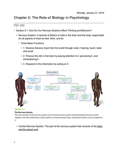 Chapter 2 Psychology Chapter 2 The Role Of Biology In Psychology Psy 200 Section 2 How