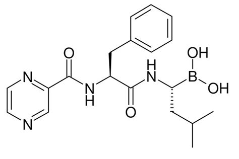 Chemical structure of bortezomib. Bortezomib... | Download Scientific ...