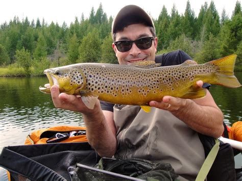 Trout Fishing Tips: 5 Things Any Angler Should Know