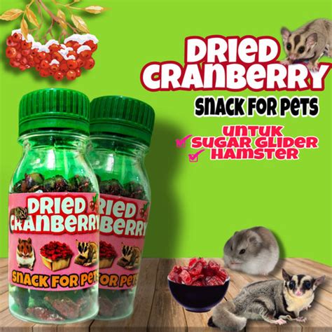 Jual Snack Hamster Dan Sugar Glider Dried Cranberry Alami Buah Kering