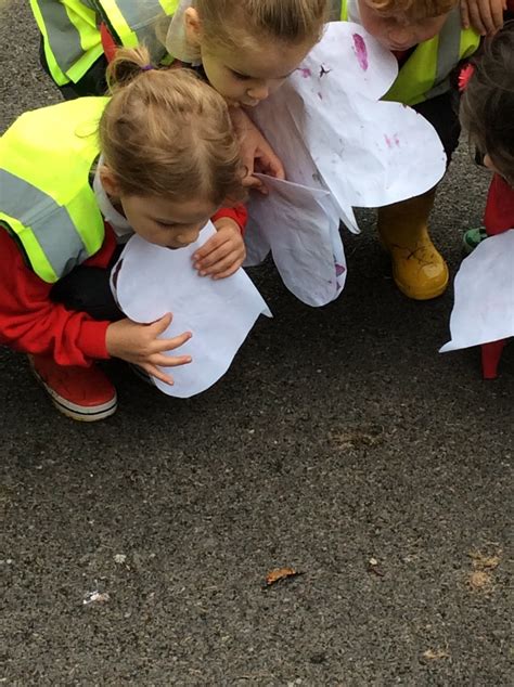 Grateley Primary School Releasing Our Butterflies