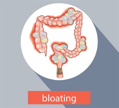 What Causes Belching Bloating And Gas During Ovulation Pelajaran