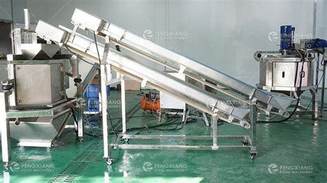 Fengxiang Continuous Vegetable And Fruit Spin Centrifugal Dewatering