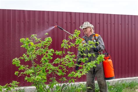 Premium Photo Man Treats Fruit Trees From Diseases And Insects Pests