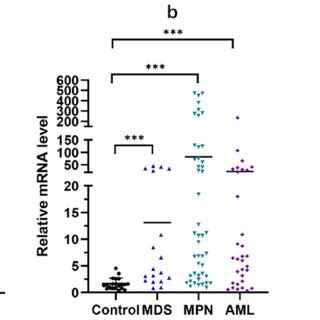 Relative Expression Levels And Immunoreactivity H Score Of Spag A