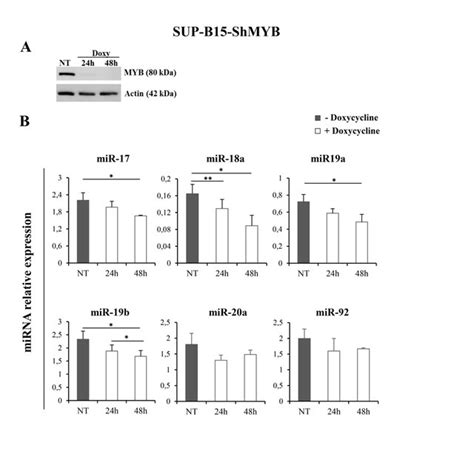 Figure S1 Expression Levels Of The Mir 17 92 Cluster In Ph All Cells