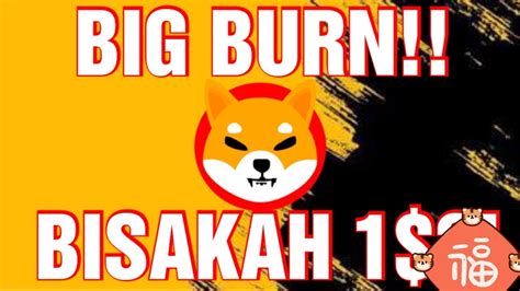 WOW LIHAT SHIBA INU BIG BURN LEBIH BESAR BERSIAP NAIK GILA DALAM