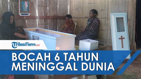 News Update Diduga Rabies Bocah Tahun Di Desa Hikong Sikka