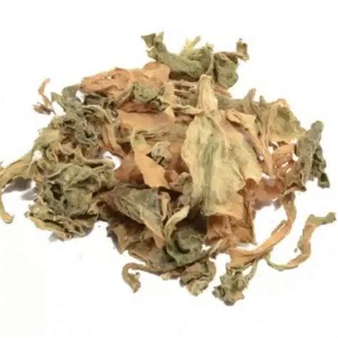 The Uses and Benefits of Kanna Leaves (Sceletium Tortuosum) - Mimosa Root Shop