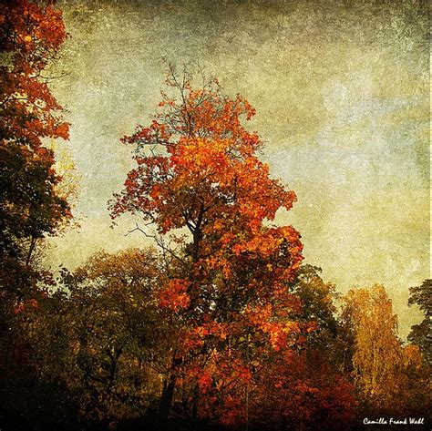 Autumn Trees | Tree art, Painting, Landscape art