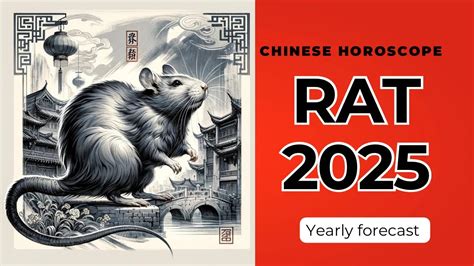 Rat 2025 Chinese Horoscope Yearly Predictions YouTube