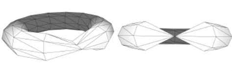 manifold connected  complex