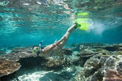 Tioman Snorkeling Day Trip Only At Usd Per Pax To Go