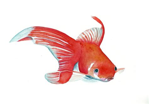 Fish painting Original watercolor painting