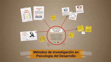 Métodos De Investigación En Psicología Del Desarrollo By Cinthya Cortez