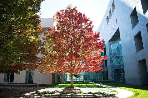 The gardens – Parliament of Australia