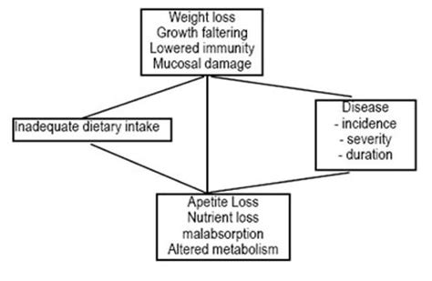 Energy Balance Obesity And Malnutrition Flashcards Quizlet