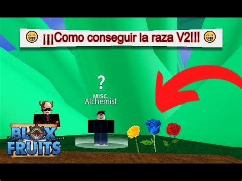 Como Conseguir La Raza V2 Blox Fruits YouTube