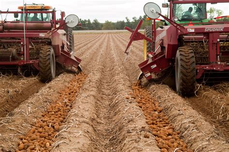 Wisconsin Crop Holds Promise Potato Grower Magazine