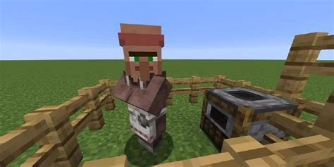 How To Make A Butcher Villager In Minecraft