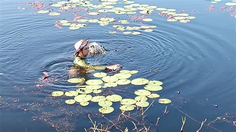 SOLTAMOS AS ARMADILHA NO AÇUDE DAS TILÁPIAS GIGANTE A NOITE É FIZEMOS