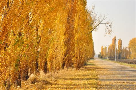 Seasons in Slovakia: Weather and Climate