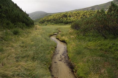 Mountains Ukraine Stream - Free photo on Pixabay - Pixabay