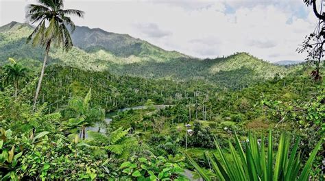 Finca El Edén • Quibiján • Baracoa Cuba Rainforest Ecology Tropical