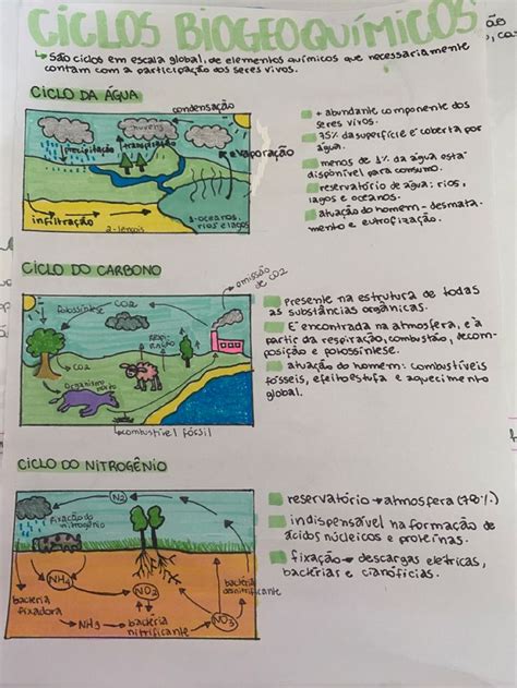 Resumo Ciclos Biogeoquímicos