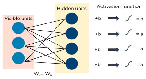 Deep Learning Algorithm