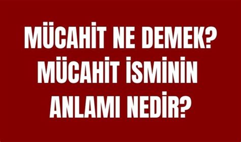 Mücahit ne demek Mücahit ne anlama gelir TDK Mücahit kimlere denir