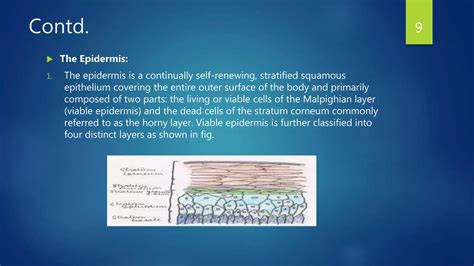 Transdermal Drug Delivery Systems Ppt