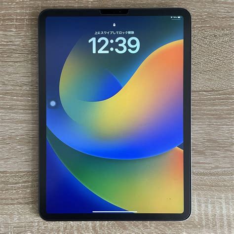 【大特価】ipad Pro 11インチ 第1世代 256gb 2018 By メルカリ