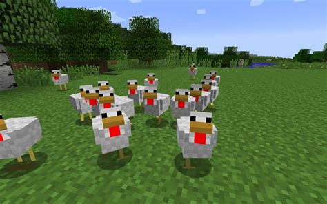 Minecraft Chicken Wallpapers Top Những Hình Ảnh Đẹp