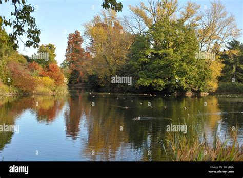 Vibrant Autumn Colours Stock Photo Alamy