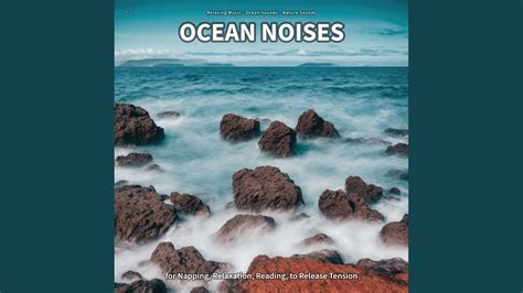 Ocean Noises Part Youtube