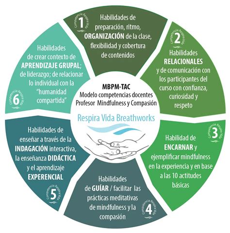 Criterio De Desarrollo Y Evaluaci N De Competencias Docentes Mbpm Tac