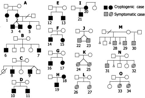 Clinical And Pedigree Study On Familial Cases Of West Syndrome In Japan