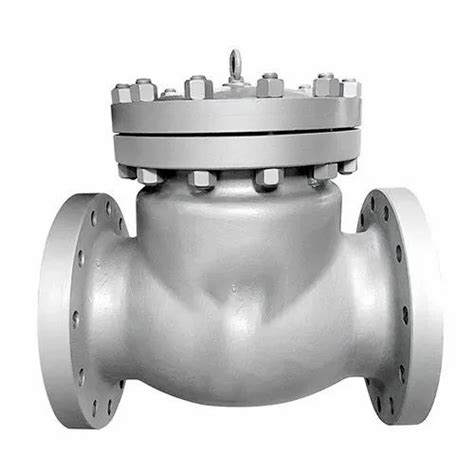 Mm Cast Iron Non Return Valve Size Inch At Piece In