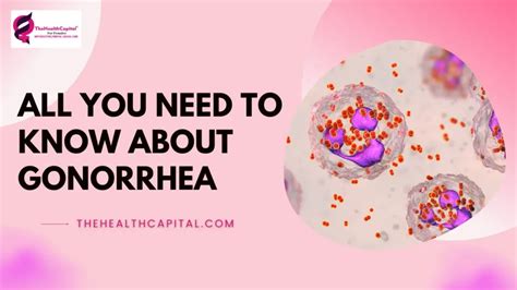 Gonorrhea Symptoms Treatment Causes And More 2023 Blog